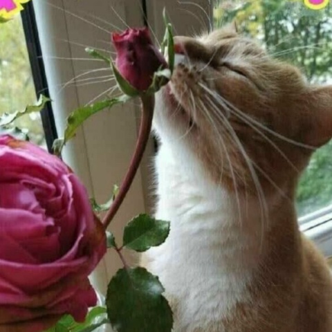 Татьяна Путрякова