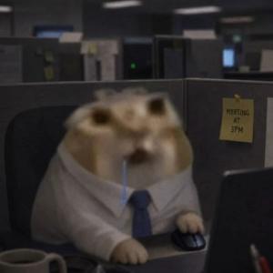 gus